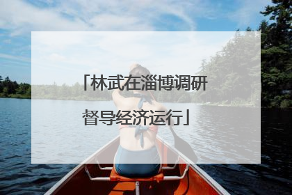 林武在淄博调研督导经济运行