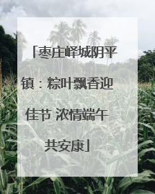 枣庄峄城阴平镇：粽叶飘香迎佳节 浓情端午共安康