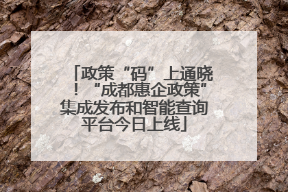 政策“码”上通晓！“成都惠企政策”集成发布和智能查询平台今日上线
