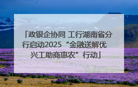 政银企协同 工行湖南省分行启动2025“金融送解优 兴工助商惠农”行动