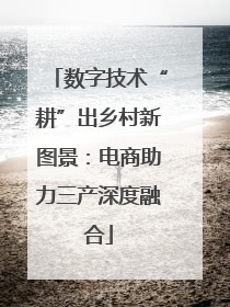 数字技术“耕”出乡村新图景：电商助力三产深度融合