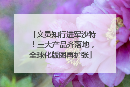 文员知行进军沙特！三大产品齐落地，全球化版图再扩张