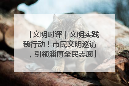 文明时评｜文明实践我行动！市民文明巡访，引领淄博全民志愿