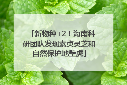 新物种+2！海南科研团队发现素贞灵芝和自然保护地壁虎