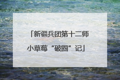 新疆兵团第十二师小草莓“破圈”记