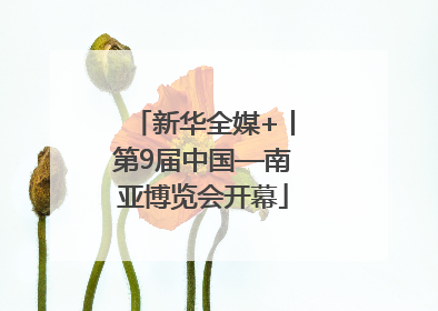 新华全媒+丨第9届中国—南亚博览会开幕