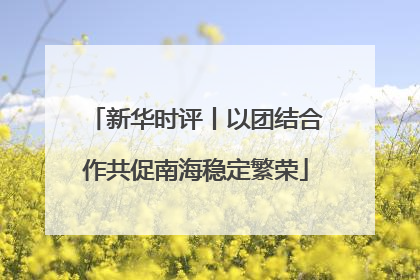 新华时评丨以团结合作共促南海稳定繁荣