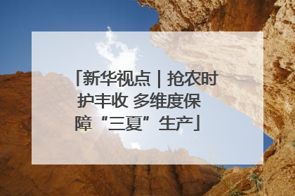 新华视点｜抢农时 护丰收 多维度保障“三夏”生产