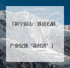 新宁崀山：铁皮石斛产业绽放“花经济”