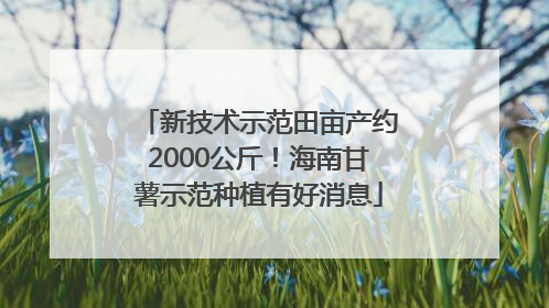 新技术示范田亩产约2000公斤！海南甘薯示范种植有好消息