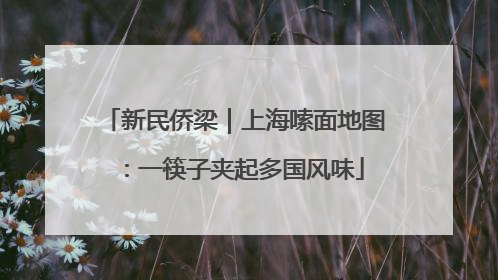 新民侨梁｜上海嗦面地图：一筷子夹起多国风味
