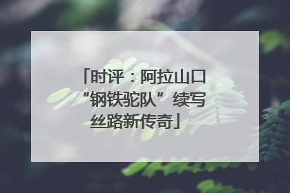 时评：阿拉山口“钢铁驼队”续写丝路新传奇