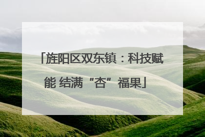 旌阳区双东镇：科技赋能 结满“杏”福果