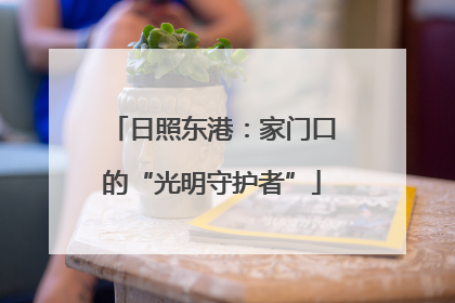 日照东港：家门口的“光明守护者”