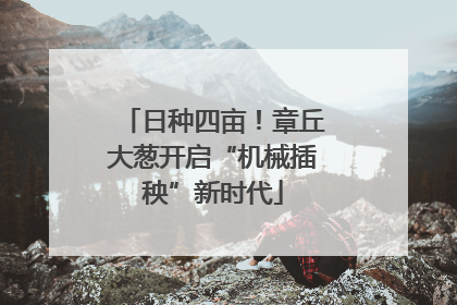 日种四亩！章丘大葱开启“机械插秧”新时代