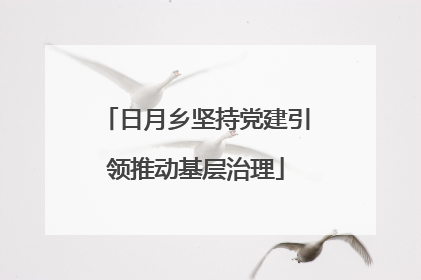 日月乡坚持党建引领推动基层治理