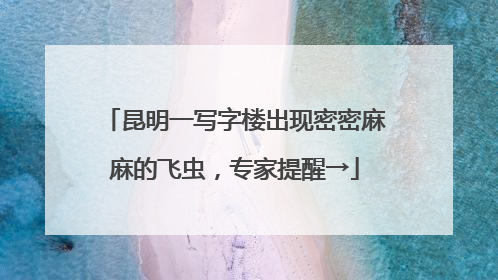 昆明一写字楼出现密密麻麻的飞虫，专家提醒→