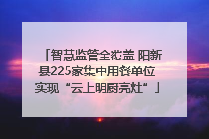 智慧监管全覆盖 阳新县225家集中用餐单位实现“云上明厨亮灶”