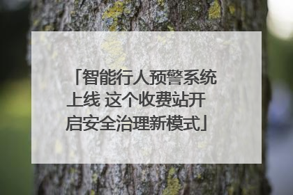 智能行人预警系统上线 这个收费站开启安全治理新模式