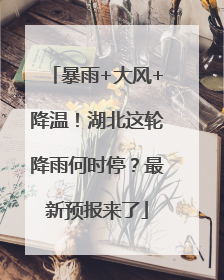 暴雨+大风+降温！湖北这轮降雨何时停？最新预报来了