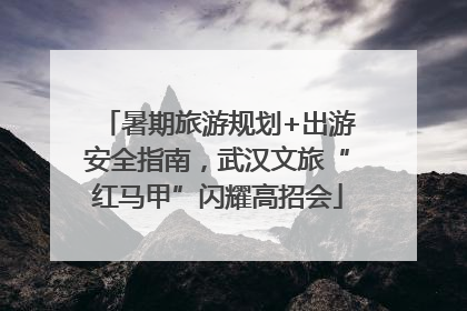 暑期旅游规划+出游安全指南，武汉文旅“红马甲”闪耀高招会