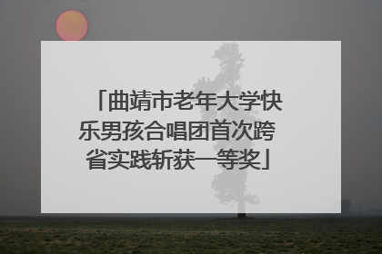 曲靖市老年大学快乐男孩合唱团首次跨省实践斩获一等奖