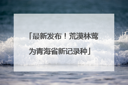 最新发布！荒漠林莺为青海省新记录种