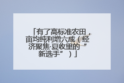 有了高标准农田，亩均纯利增六成（经济聚焦·夏收里的“新选手”）
