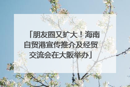朋友圈又扩大！海南自贸港宣传推介及经贸交流会在大阪举办