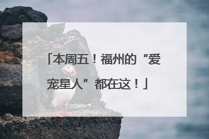 本周五！福州的“爱宠星人”都在这！