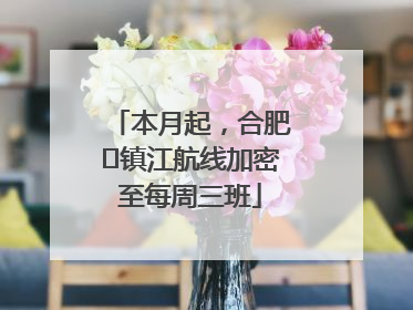 本月起，合肥⇋镇江航线加密至每周三班