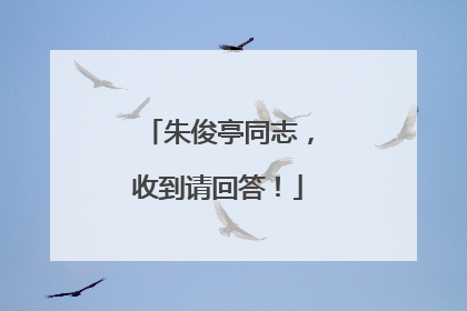 朱俊亭同志，收到请回答！