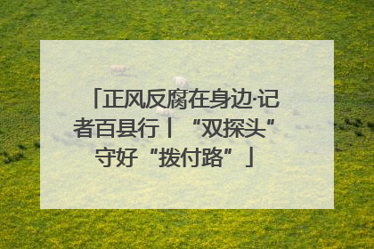 正风反腐在身边·记者百县行丨“双探头”守好“拨付路”