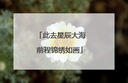 此去星辰大海 前程锦绣如画