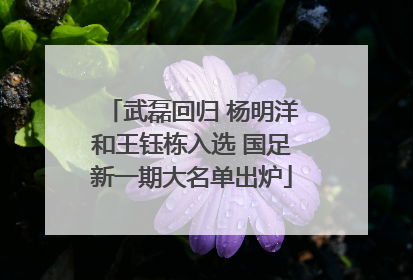 武磊回归 杨明洋和王钰栋入选 国足新一期大名单出炉