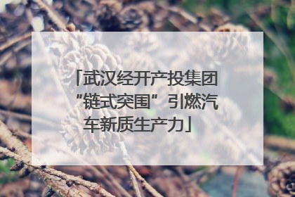 武汉经开产投集团“链式突围”引燃汽车新质生产力