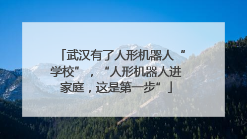 武汉有了人形机器人“学校”，“人形机器人进家庭，这是第一步”