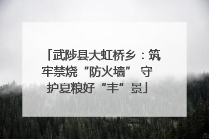 武陟县大虹桥乡：筑牢禁烧“防火墙” 守护夏粮好“丰”景