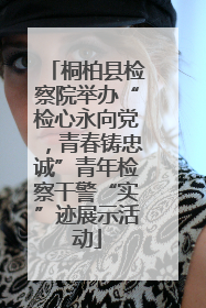 桐柏县检察院举办“检心永向党，青春铸忠诚”青年检察干警“实”迹展示活动