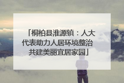 桐柏县淮源镇：人大代表助力人居环境整治 共建美丽宜居家园