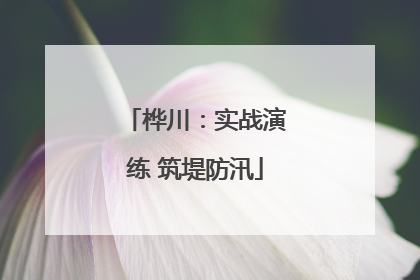 桦川：实战演练 筑堤防汛