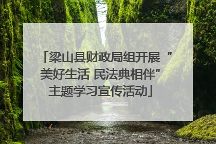 梁山县财政局组开展“美好生活 民法典相伴”主题学习宣传活动