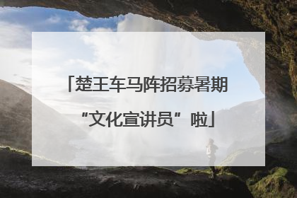 楚王车马阵招募暑期“文化宣讲员”啦