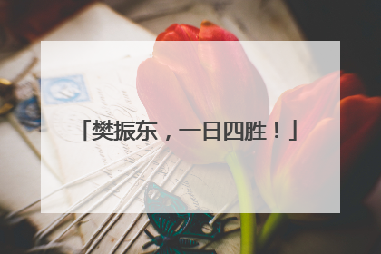 樊振东，一日四胜！