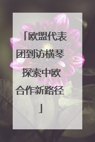 欧盟代表团到访横琴 探索中欧合作新路径