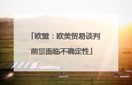 欧盟：欧美贸易谈判前景面临不确定性