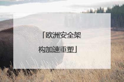 欧洲安全架构加速重塑