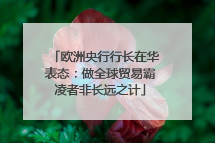 欧洲央行行长在华表态：做全球贸易霸凌者非长远之计