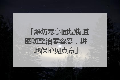 潍坊寒亭固堤街道图斑整治零容忍，耕地保护见真章