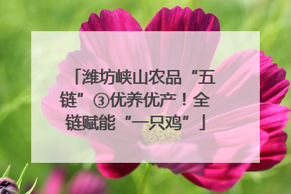 潍坊峡山农品“五链”③优养优产！全链赋能“一只鸡”